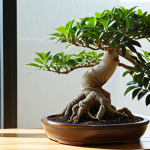 **A vibrant, healthy Ficus 'Ginseng' bonsai (Ficus microcarpa Ginseng) prominently displayed on a clean, light-colored wooden table indoors. Soft, natural sunlight streams through a nearby window, casting gentle shadows and highlighting the tree's details. The bonsai features a thick, gnarled trunk with visible, intriguing aerial roots and lush, dark green leaves. A subtle, serene atmosphere emphasizing robustness and easy care. High detail, natural light, clean composition, focus on the bonsai.**