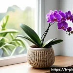 꽃 피우는 실내 식물 추천 - A bright and elegant indoor living room corner featuring a healthy orchid plant in a modern ceramic ...