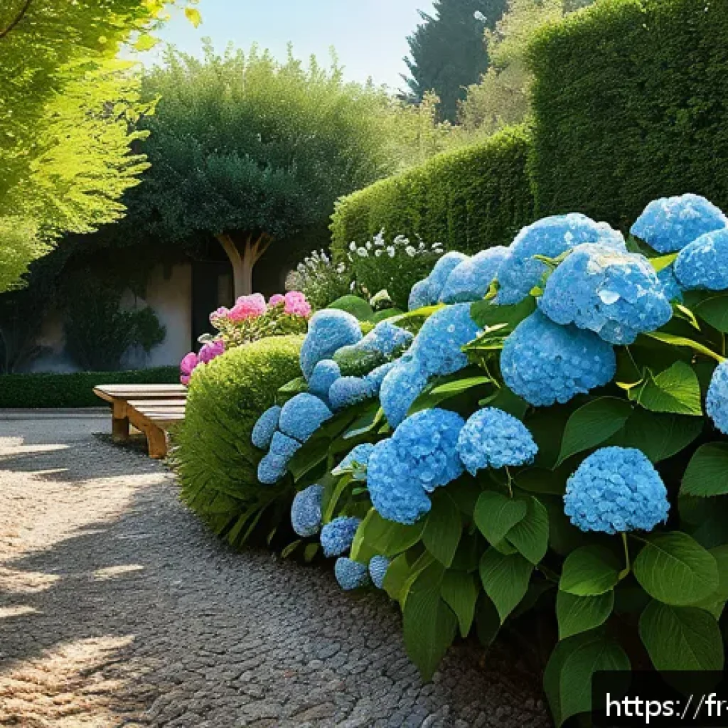 수국 키우는 방법 및 계절별 관리 - A serene French garden scene in soft morning light, featuring lush hydrangea bushes thriving in part...