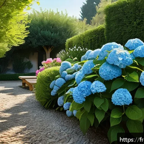 수국 키우는 방법 및 계절별 관리 - A serene French garden scene in soft morning light, featuring lush hydrangea bushes thriving in part...