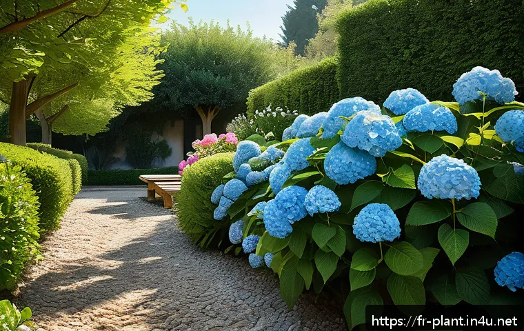 수국 키우는 방법 및 계절별 관리 - A serene French garden scene in soft morning light, featuring lush hydrangea bushes thriving in part...