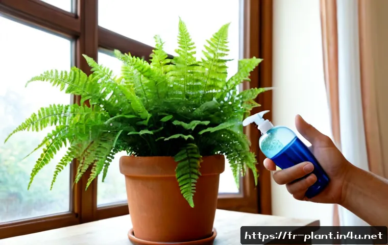 보스턴고사리 관리법 - Photorealistic Boston fern care scene in a bright French apartment living room, lush healthy fern in...